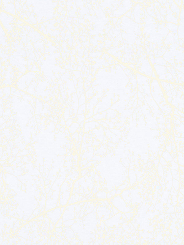 Detailansicht Morella 6333