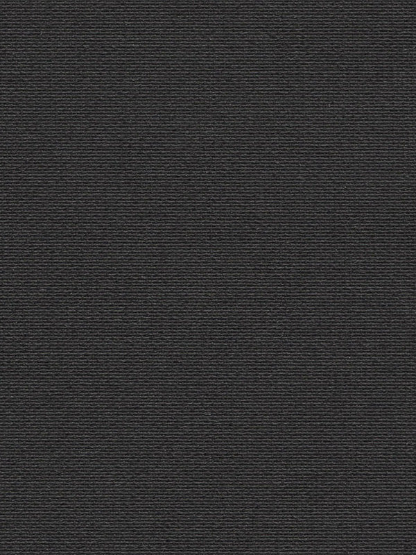 Detailansicht Leysin Verdunkelung 20134