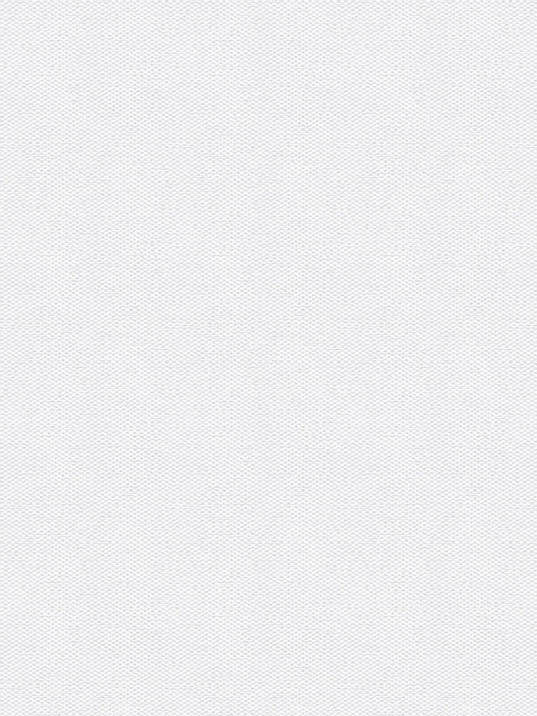 Detailansicht Mesocco 20240