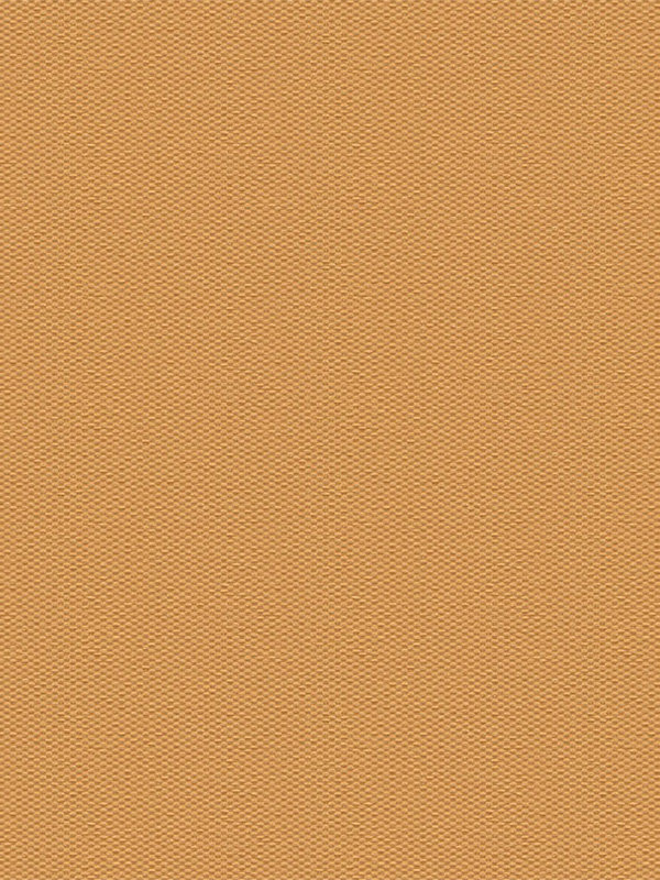 Detailansicht Truttikon Verdunkelung 20371