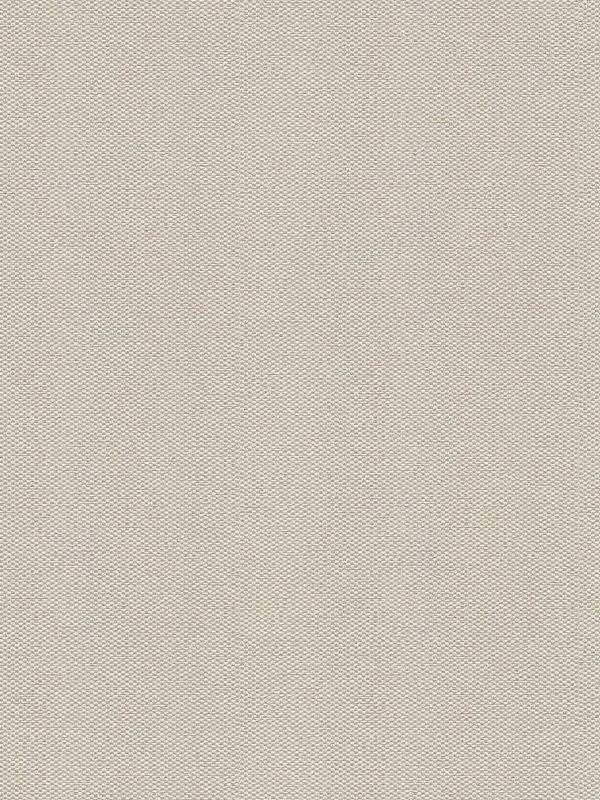 Detailansicht Mesocco 20244