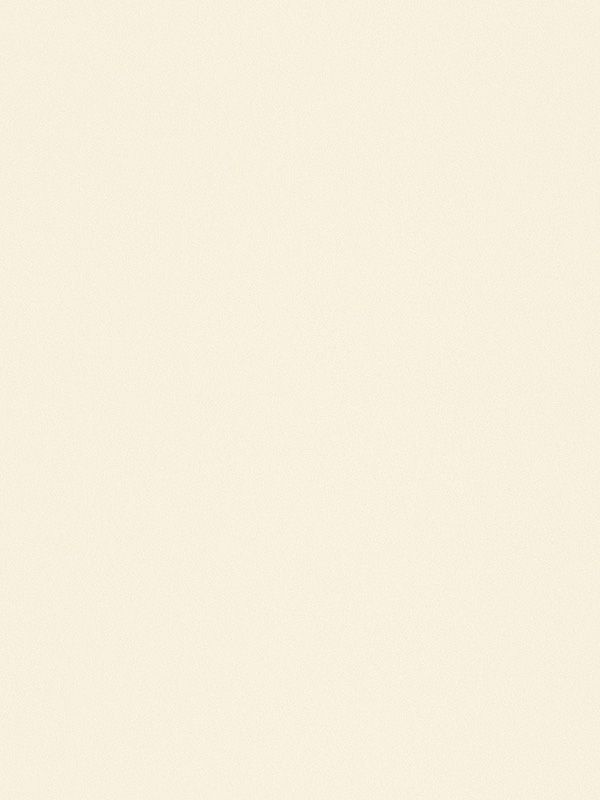 Detailansicht San Salvador 6384