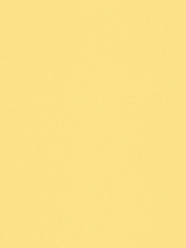 Detailansicht San Salvador 6385