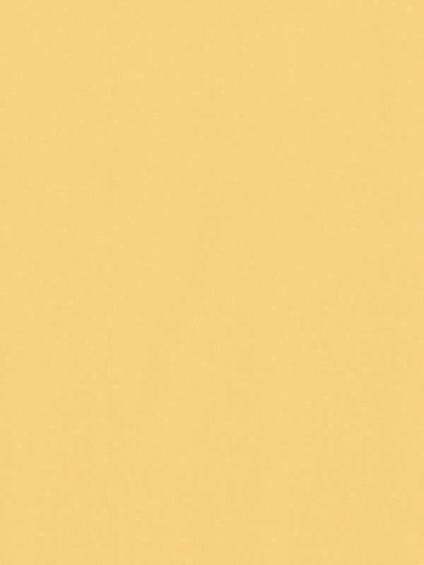 Detailansicht Tenerife 5340