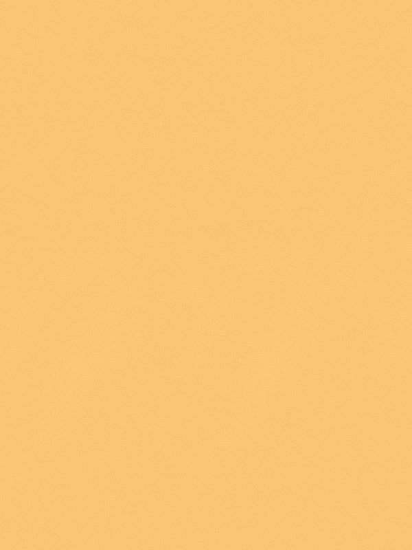 Detailansicht Contramaestre 6248