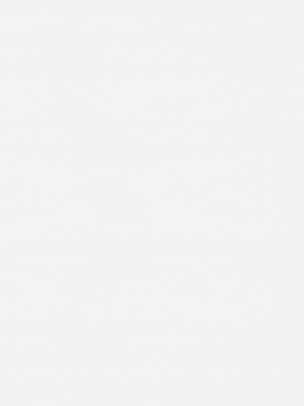 Detailansicht Rollo Springfield 26231