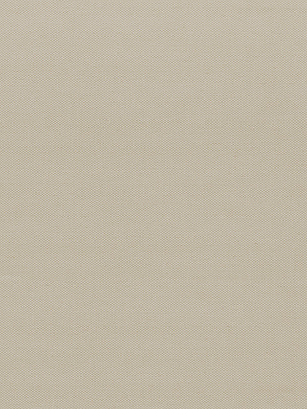 Detailansicht Rollo Springfield 26211