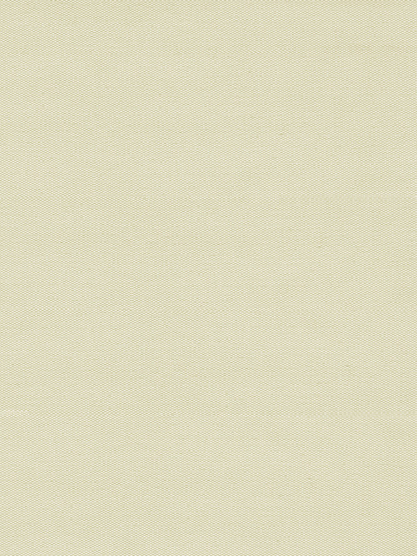 Detailansicht Rollo Springfield 26031