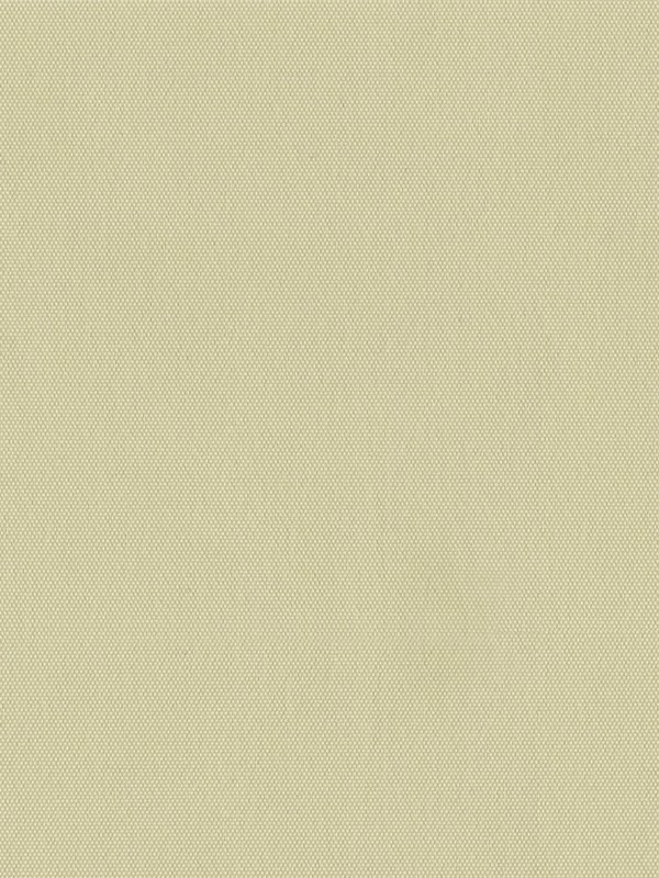 Detailansicht Rollo Springfield 26041