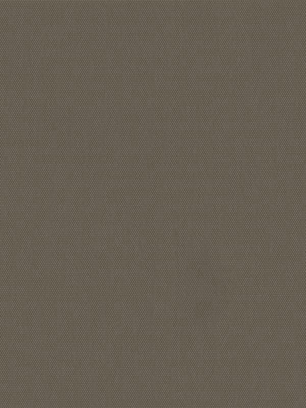 Detailansicht Rollo Springfield 26061