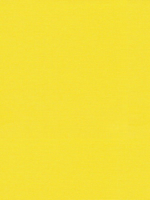 Detailansicht Rollo Springfield 26091