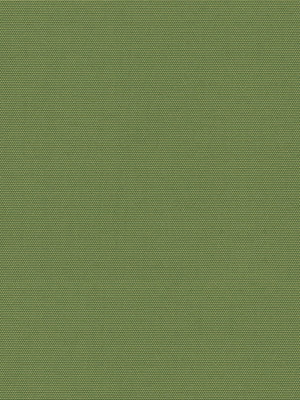 Detailansicht Rollo Springfield 26131