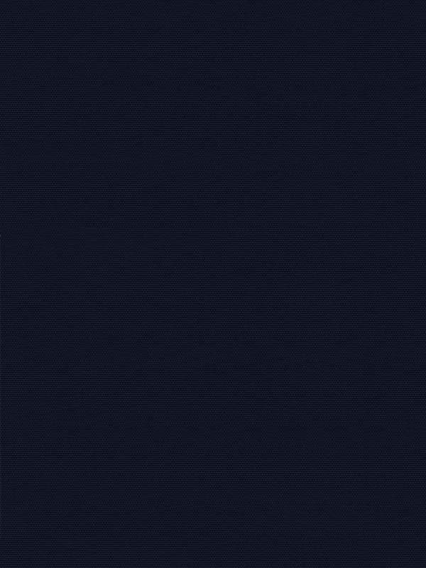 Detailansicht Rollo Springfield 26221