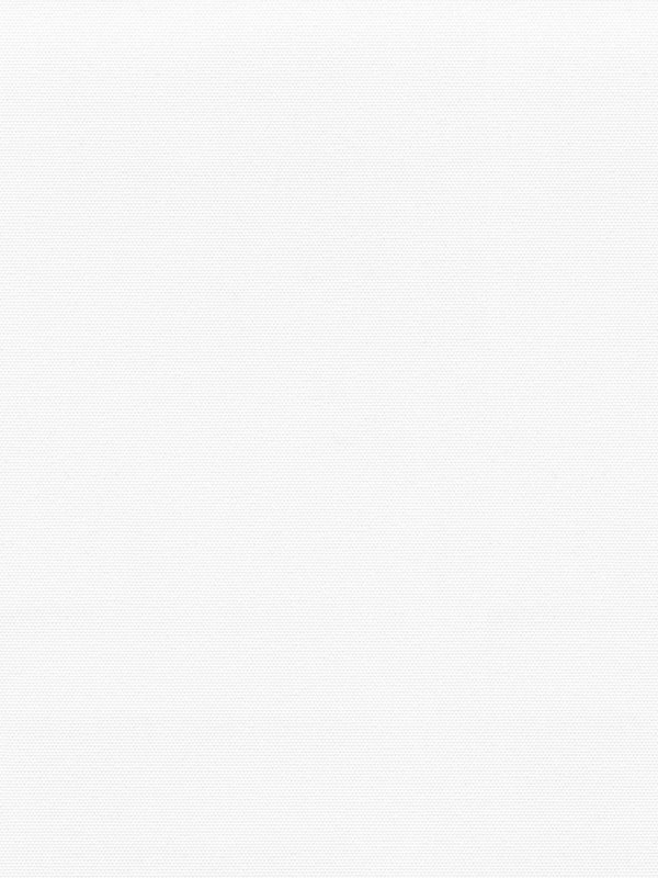 Detailansicht Rollo Springfield VD 27271