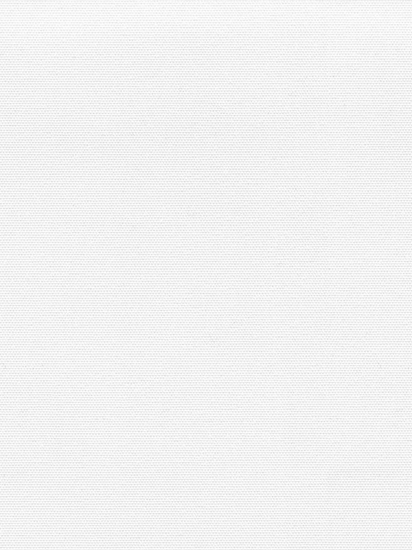 Detailansicht Rollo Springfield VD 27021