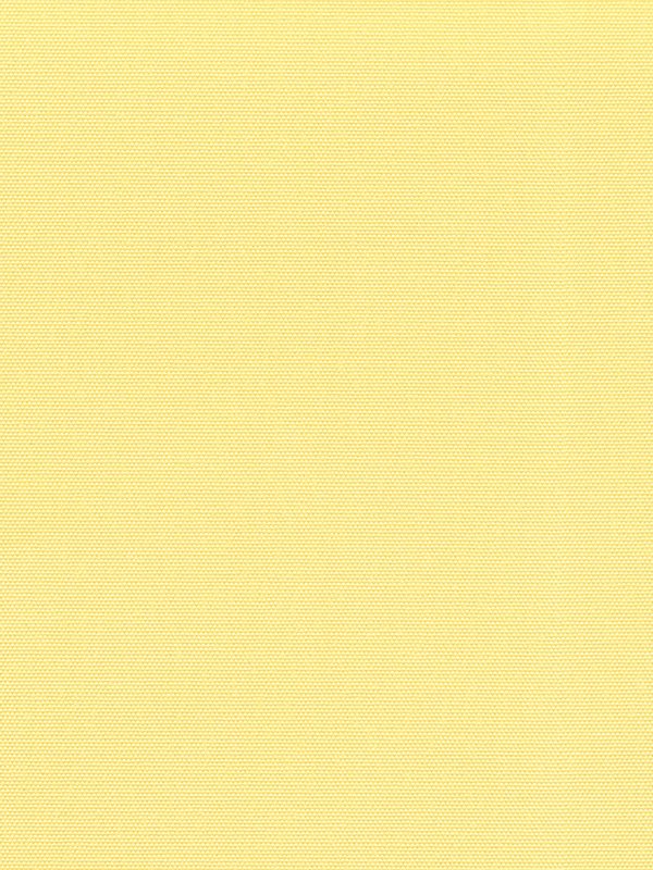 Detailansicht Rollo Springfield VD 27081