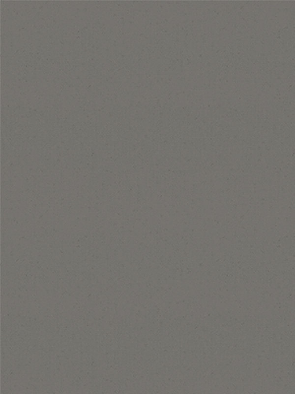 Detailansicht Verdunkelungsrollo San Carlos 54181