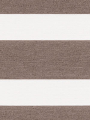 Xinca 6501 Detailansicht