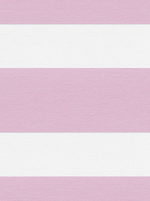 Xinca 6504 Detailansicht