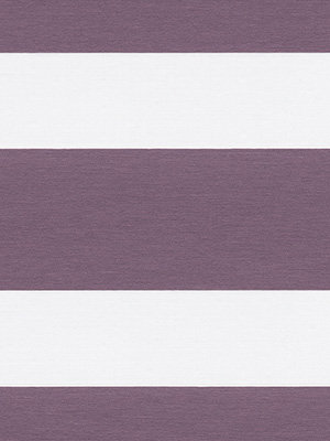 Preview Xinca 6505 2