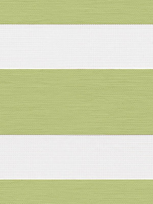 Chorti 6522 Detailansicht