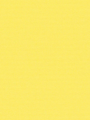 Calvia 6006 Detailansicht