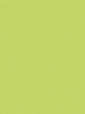 Calvia 6008 Detailansicht