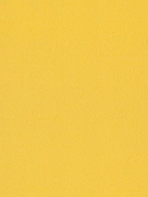 Oviedo 7005 Detailansicht