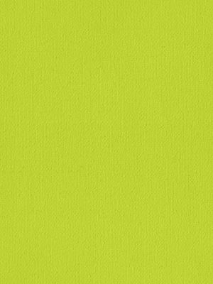 Oviedo 7012 Detailansicht