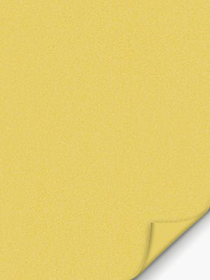 Conesa 7753 Detailansicht