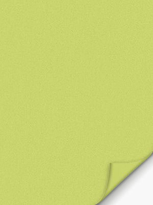 Conesa 7756 Detailansicht