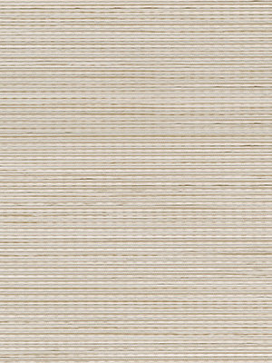 Rollo Reno 24021 Detailansicht