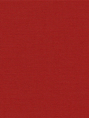 Moiry 20162 Detailansicht