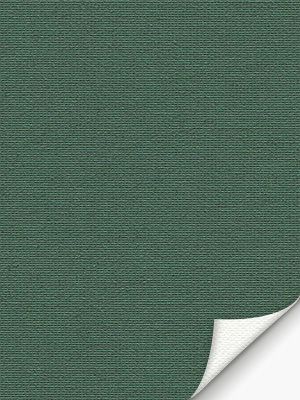 Leysin Verdunkelung 20129 Detailansicht