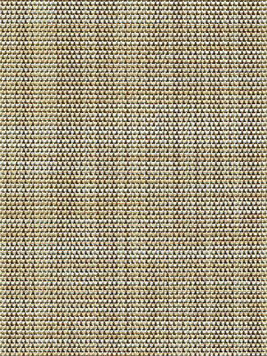 Galmiz 20070 Detailansicht