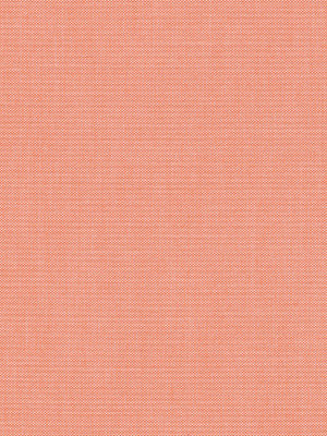 Carballo 6398 Detailansicht