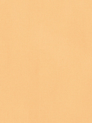 Valldemossa 4374 Detailansicht