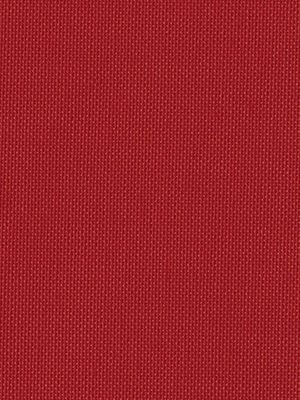 Tenerife 5342 Detailansicht