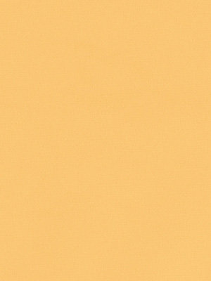 Contramaestre 6248 Detailansicht