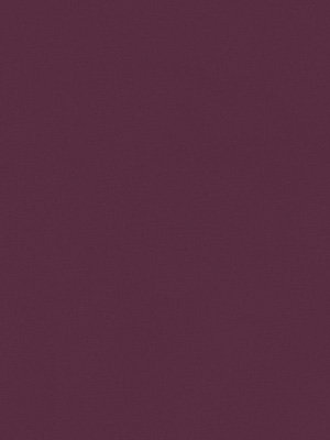 Contramaestre 6250 Detailansicht