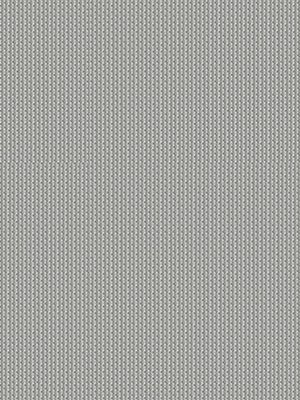 Preview San Luis 6411 3