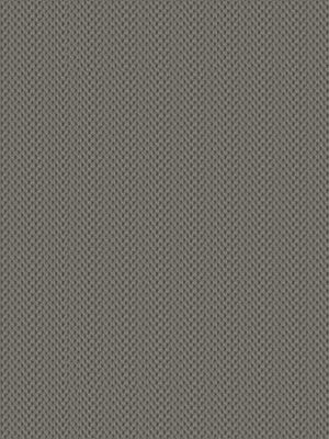 Preview San Luis 6260 3