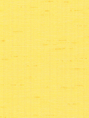 Trinidad 6273 Detailansicht