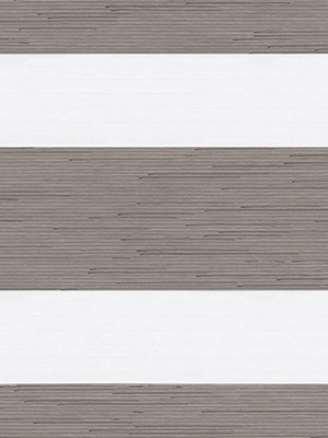 Choloma 6631 Detailansicht