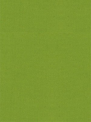 Rollo Springfield 26181 Detailansicht