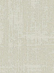 Santa Clara 6211
