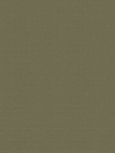 Rollo Springfield 26351 Rollo Springfield 26351
