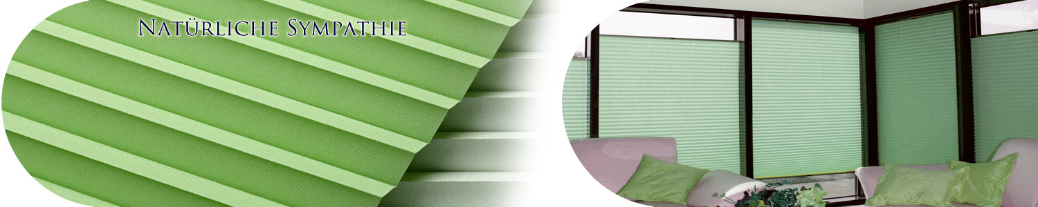 Grüne Plissees nach Maß